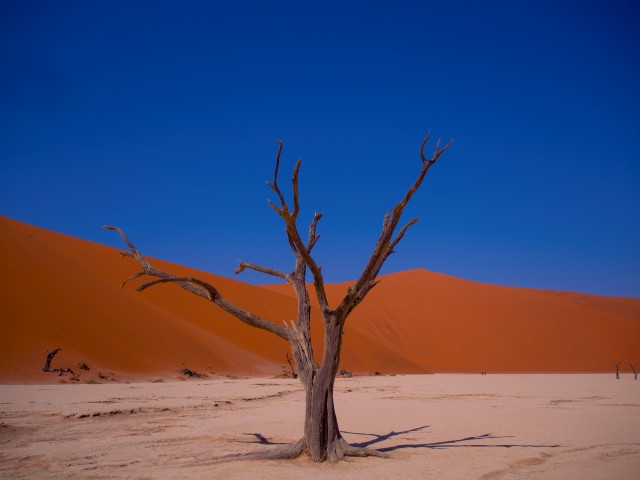 Loonse en Drunense duinen 3.0