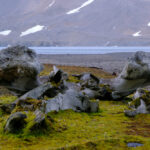 20220818_371-Spitsbergen-18-08-22